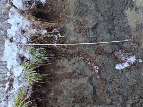 Snitt av løsmassene over bergoverfalten