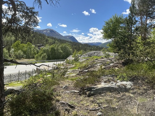 Ett av områdene som skal kartlegges langs E136